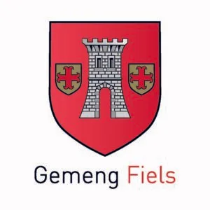 Komplementarwalen fir de Gemengerot de 7. Juni 2026 - Élections complémentaires au conseil communal