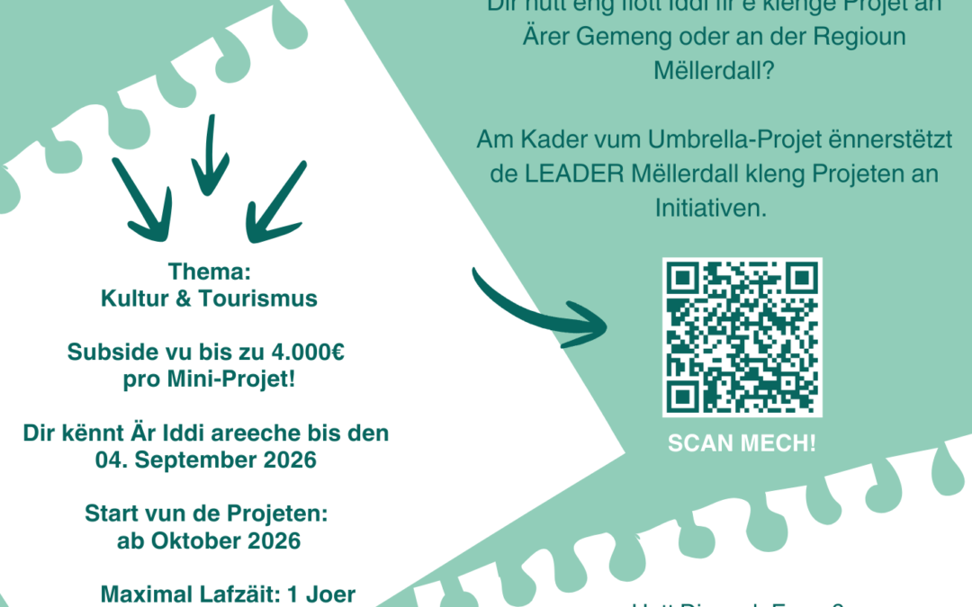Är Iddi zielt: Mini-Projete gesicht!
