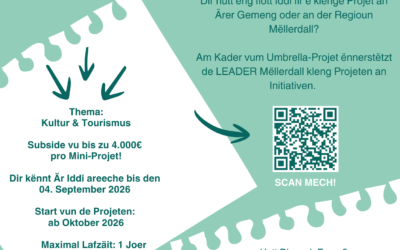 Är Iddi zielt: Mini-Projete gesicht!