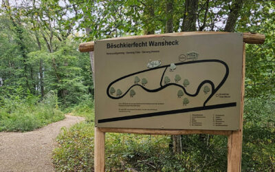 Regionale Bëschkierfent « Wansheck » zu Steeën