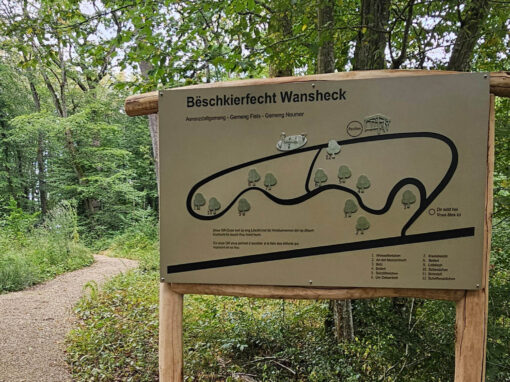 Regionale Bëschkierfent "Wansheck" zu Steeën